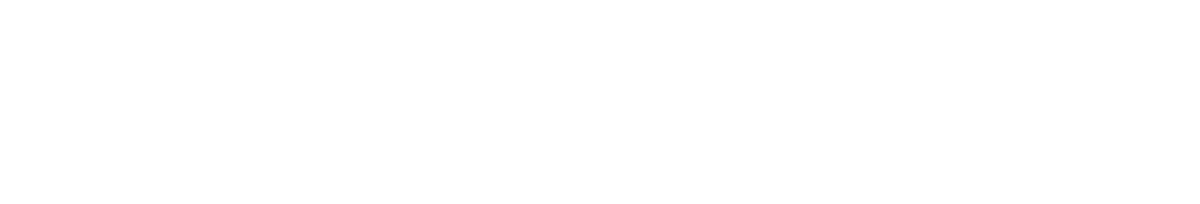 PVcase-Prospect_logo_white